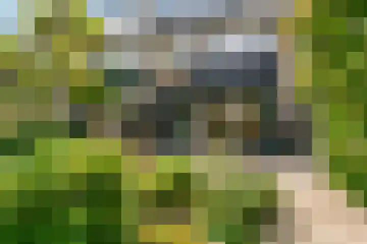 Populierendreef 26 Vlaardingen thumbnail 38
