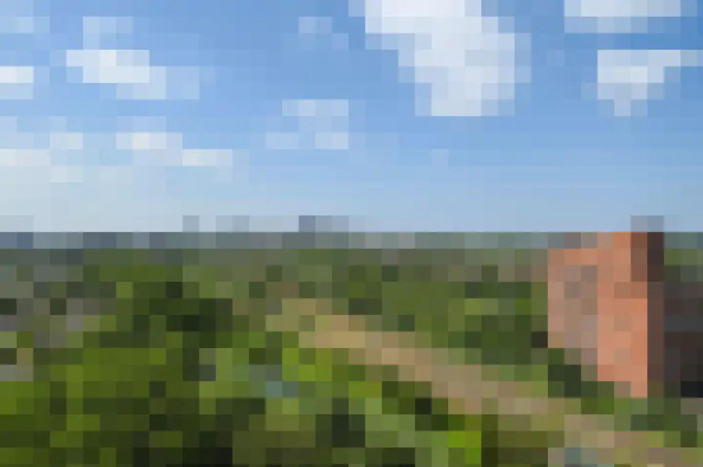 Populierendreef 267 Voorburg thumbnail 12