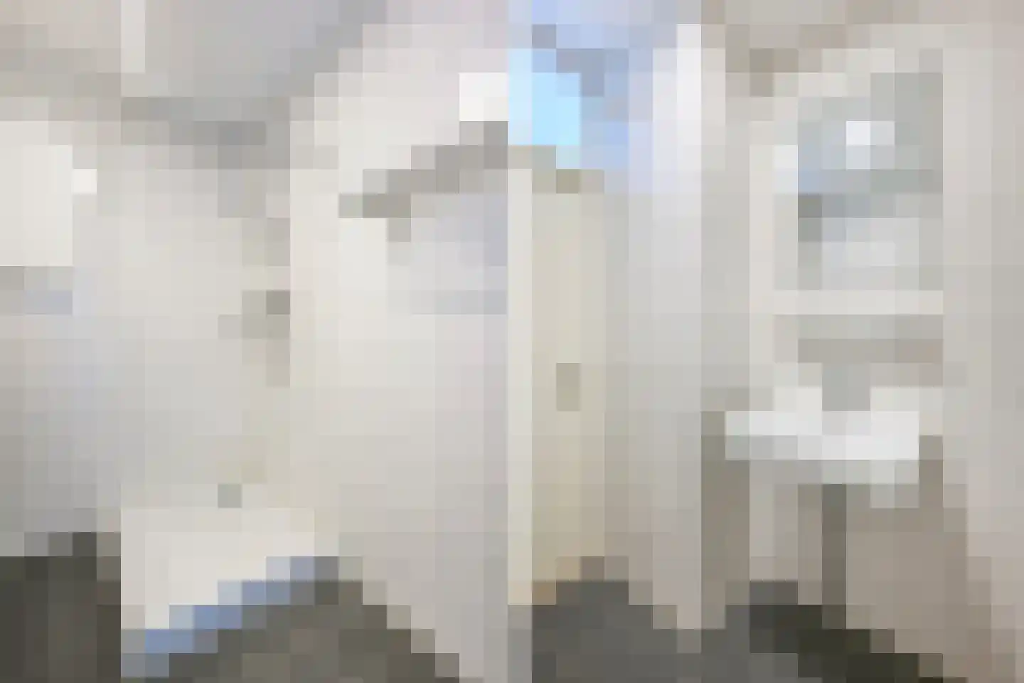 Populierendreef 267 Voorburg thumbnail 22
