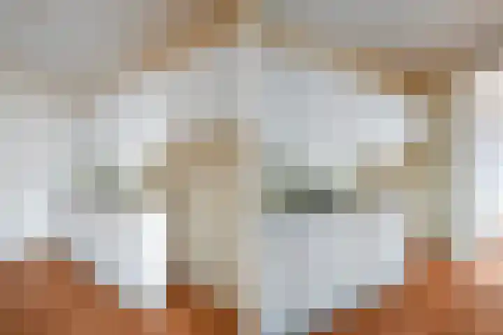 Populierendreef 279 Voorburg thumbnail 15