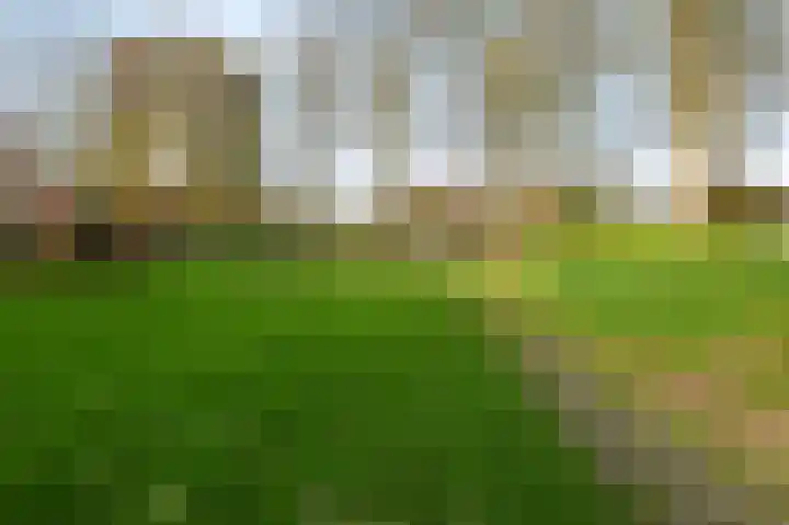 Populierendreef 279 Voorburg thumbnail 22