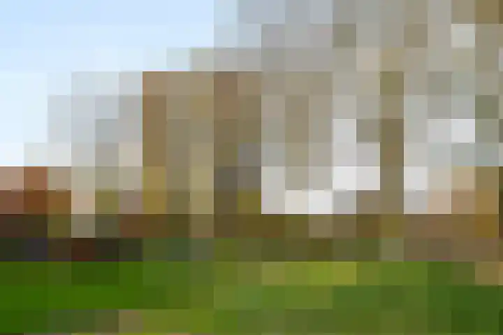 Populierendreef 279 Voorburg thumbnail 23