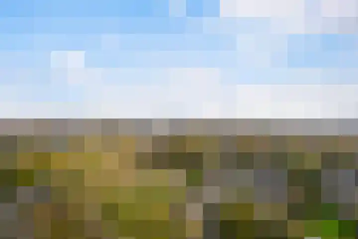 Populierendreef 279 Voorburg thumbnail 7