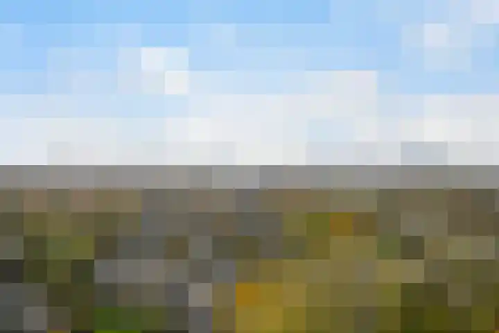 Populierendreef 279 Voorburg thumbnail 8