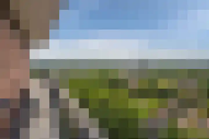 Populierendreef 283 Voorburg thumbnail 29