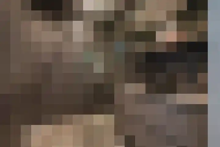 Populierendreef 283 Voorburg thumbnail 30