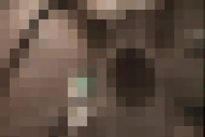 Populierendreef 283 Voorburg thumbnail 31