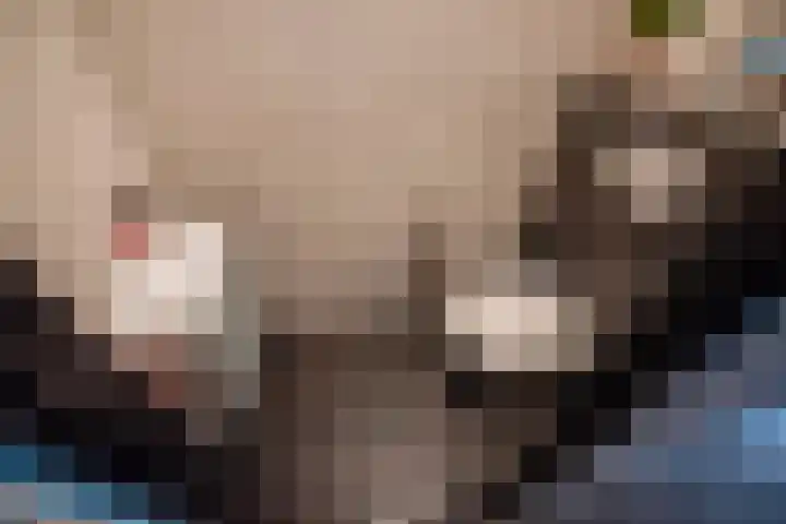 Populierendreef 283 Voorburg thumbnail 34