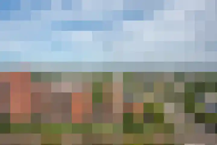 Populierendreef 283 Voorburg thumbnail 35
