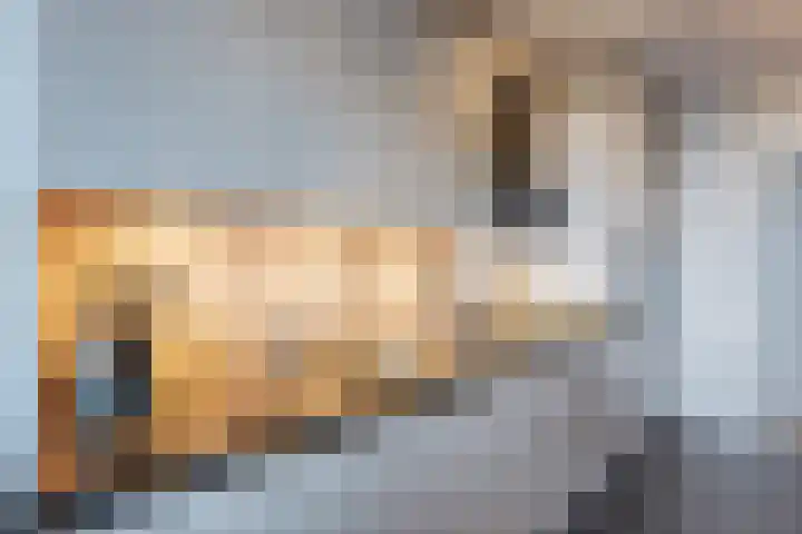 Populierendreef 298 Voorburg thumbnail 18