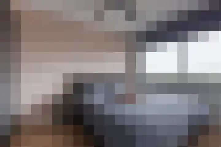 Populierendreef 298 Voorburg thumbnail 21