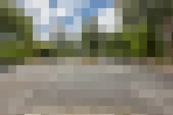 Populierendreef 298 Voorburg thumbnail 31