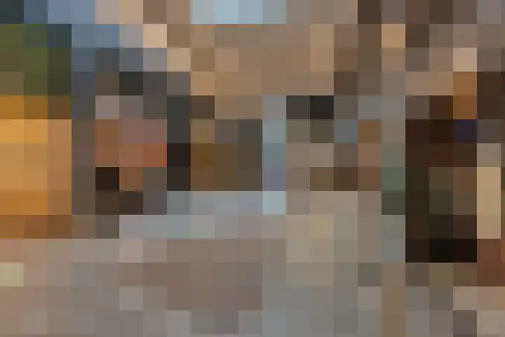 Populierendreef 298 Voorburg thumbnail 34