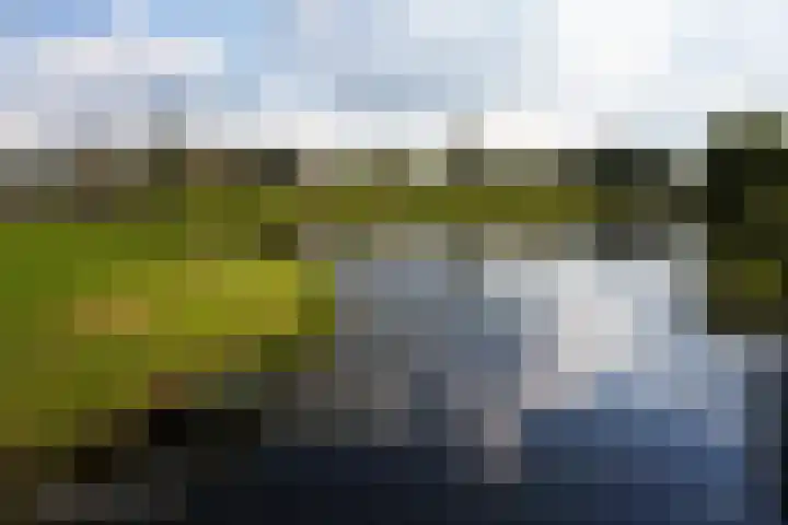 Populierendreef 298 Voorburg thumbnail 35
