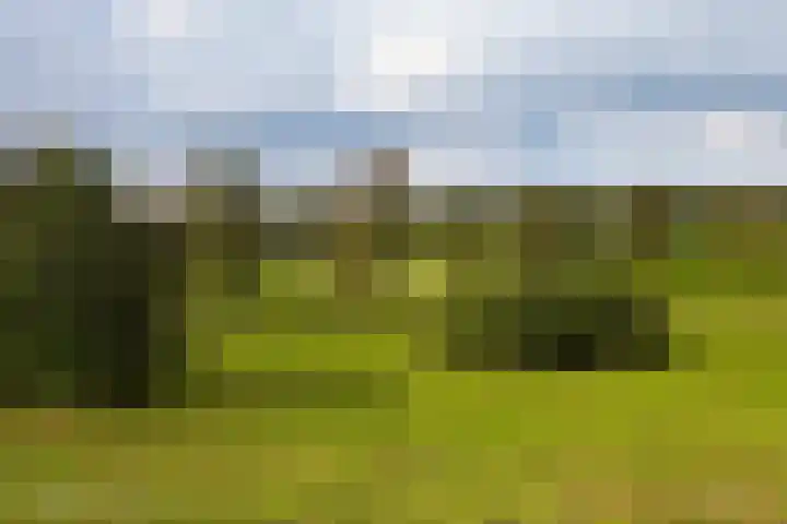 Populierendreef 298 Voorburg thumbnail 36