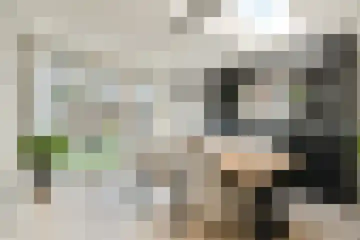 Populierendreef 3 Haastrecht thumbnail 10