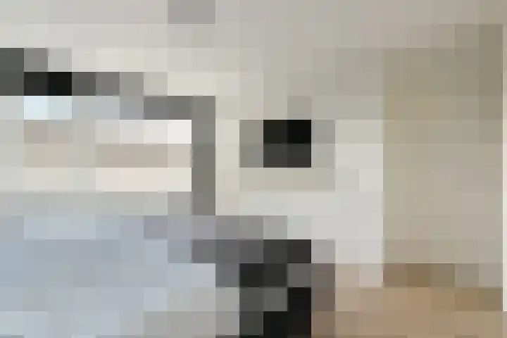 Populierendreef 3 Haastrecht thumbnail 13