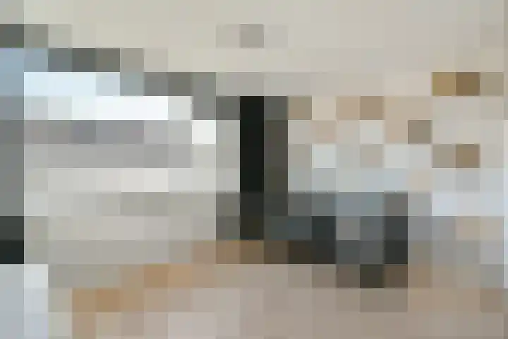 Populierendreef 3 Haastrecht thumbnail 16