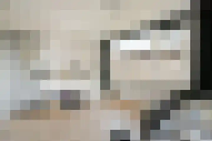 Populierendreef 3 Haastrecht thumbnail 17