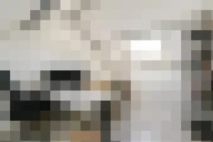 Populierendreef 3 Haastrecht thumbnail 19