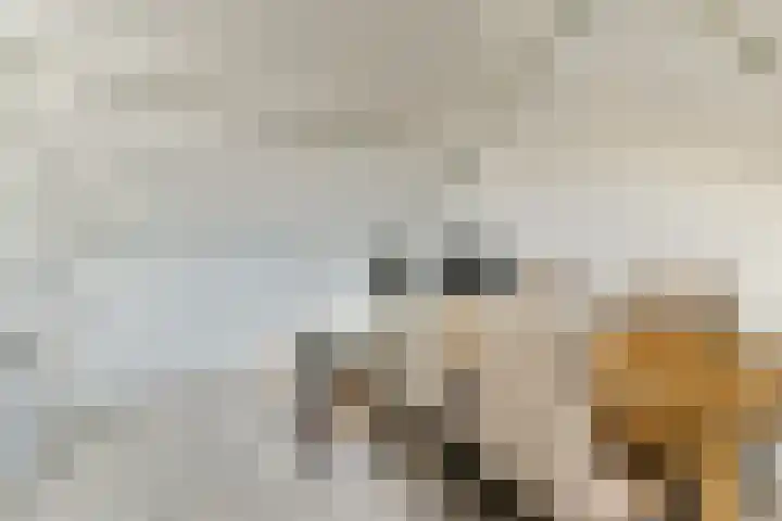 Populierendreef 3 Haastrecht thumbnail 20