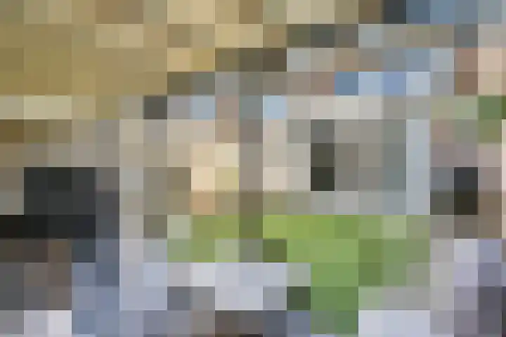 Populierendreef 3 Haastrecht thumbnail 23