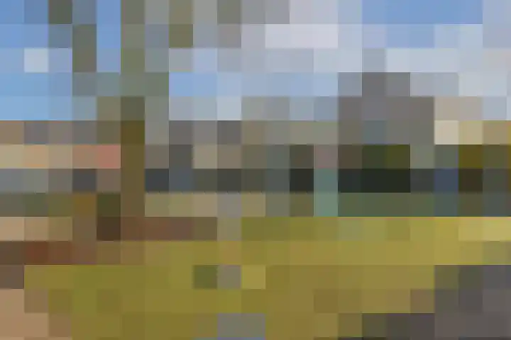 Populierendreef 3 Haastrecht thumbnail 24