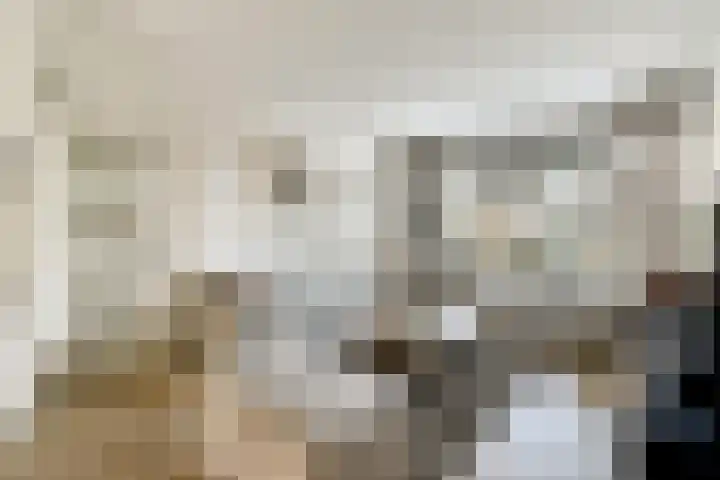 Populierendreef 3 Haastrecht thumbnail 5