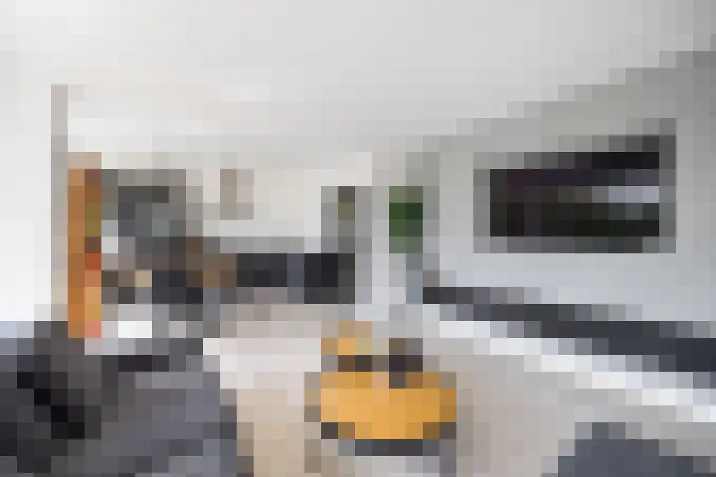 Populierendreef 308 Voorburg thumbnail 10