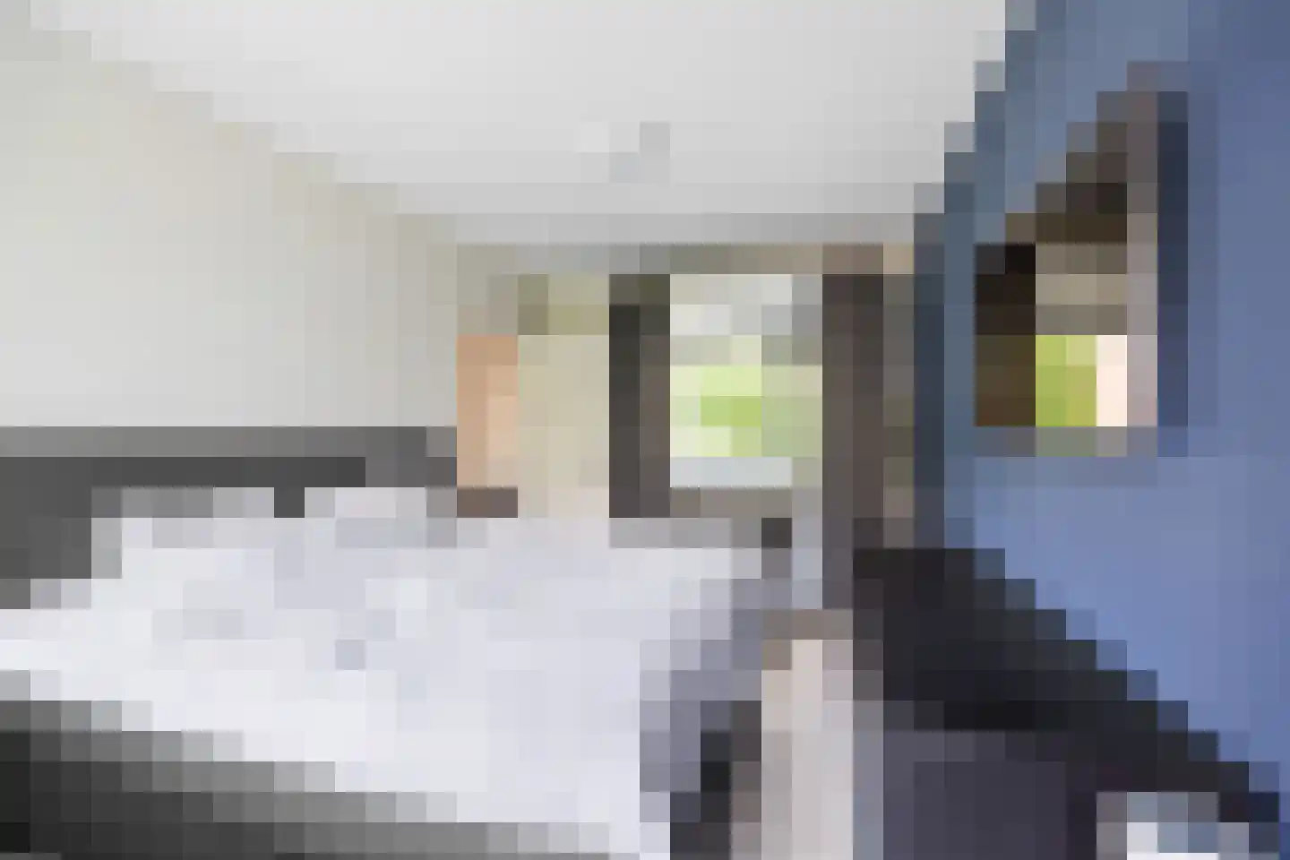 Populierendreef 308 Voorburg thumbnail 19