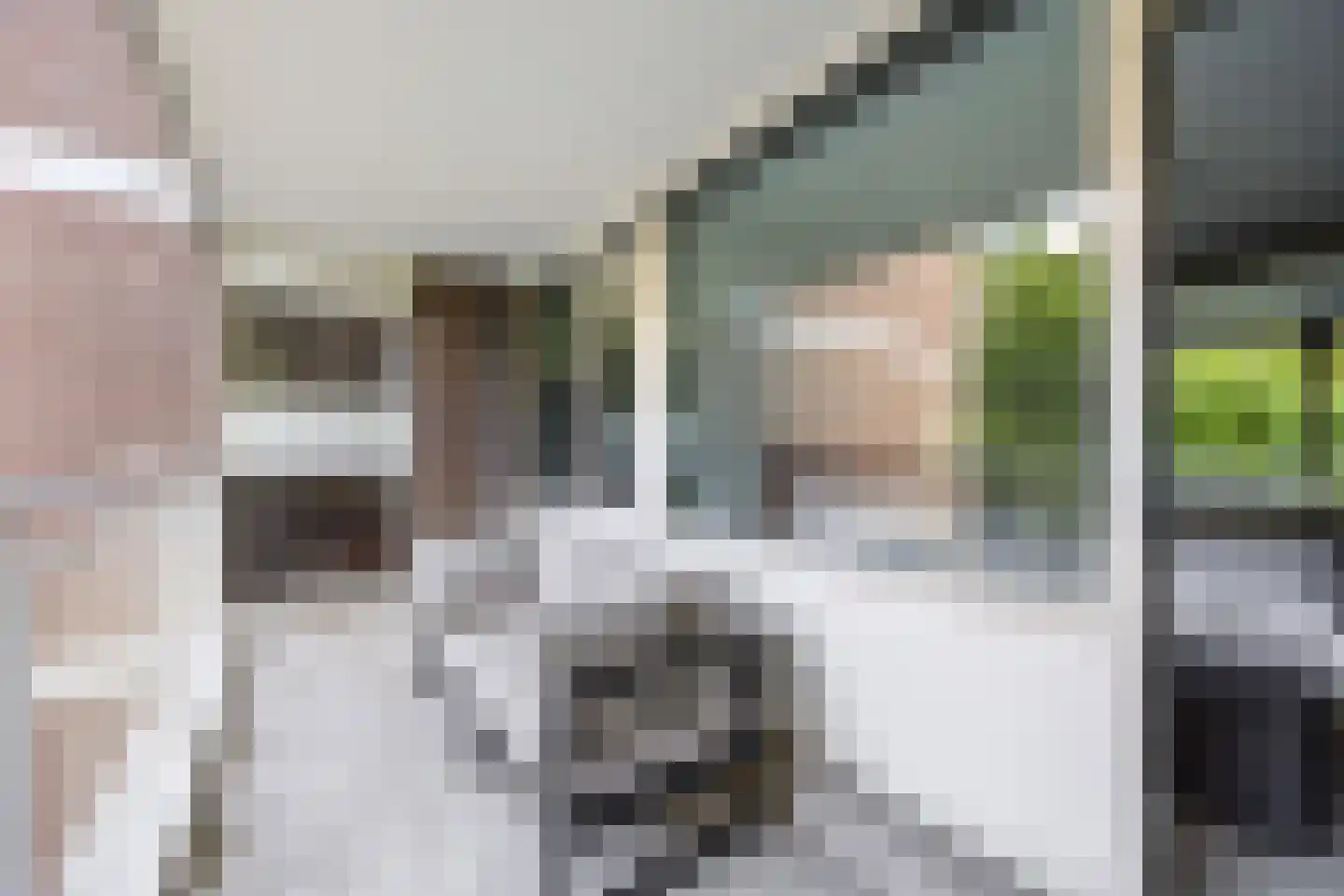 Populierendreef 308 Voorburg thumbnail 20