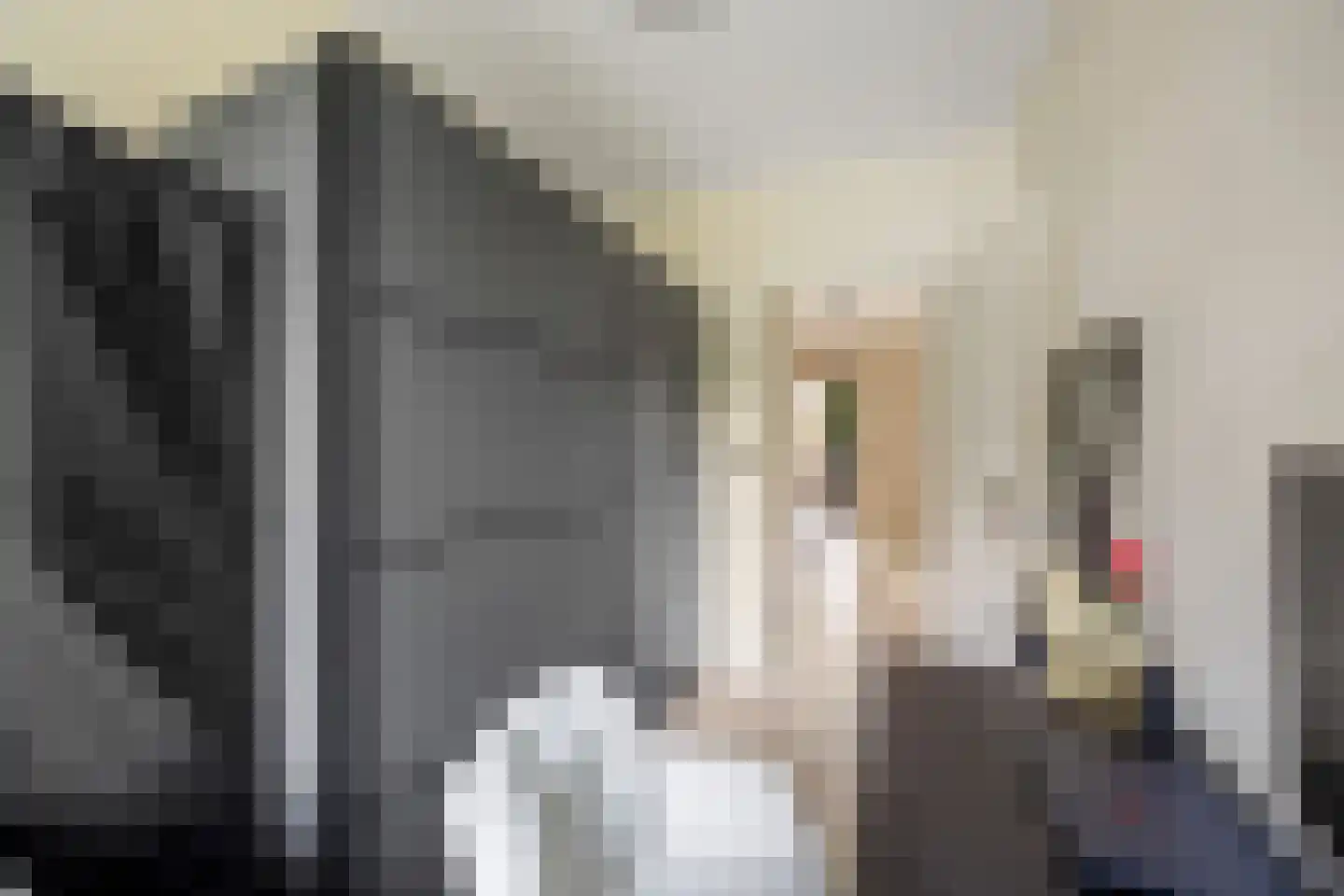 Populierendreef 308 Voorburg thumbnail 25