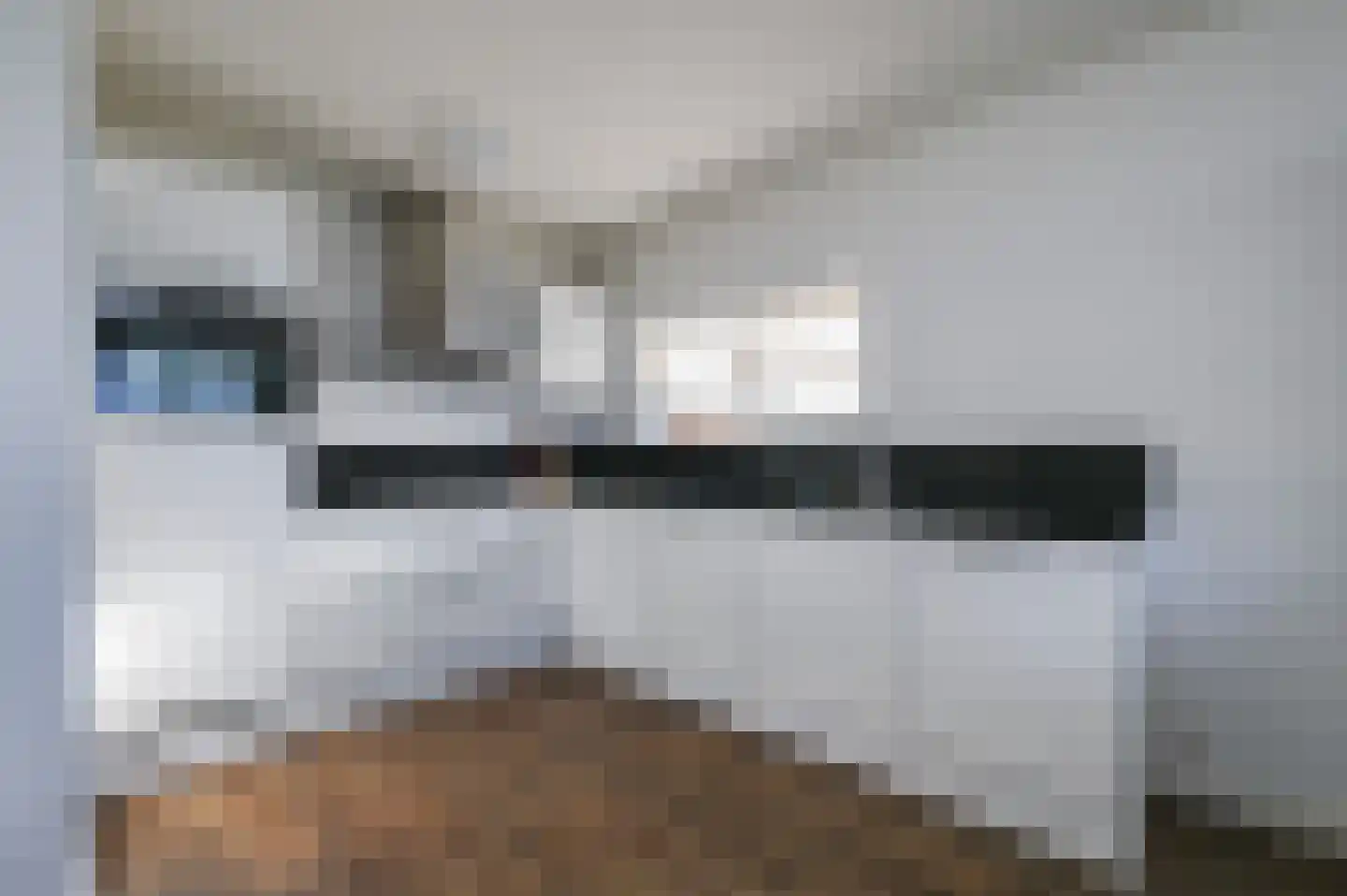Populierendreef 309 Voorburg thumbnail 10