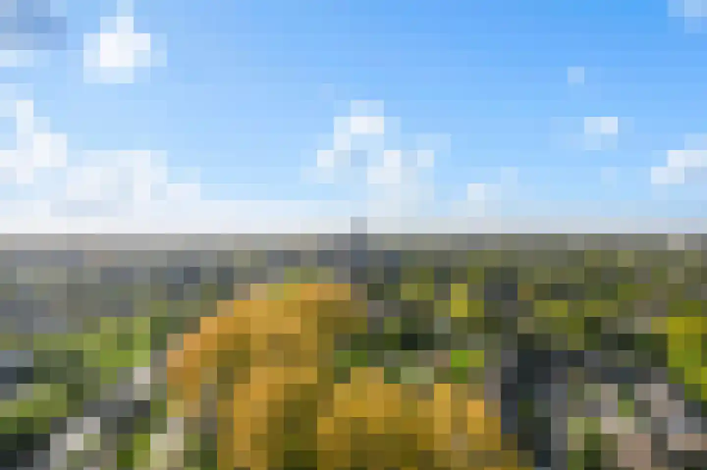Populierendreef 309 Voorburg thumbnail 15