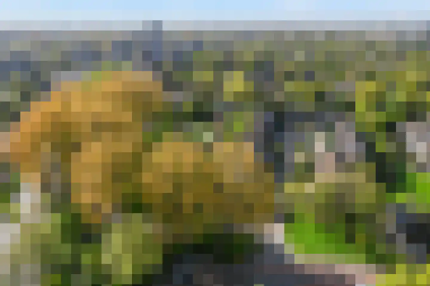 Populierendreef 309 Voorburg thumbnail 16