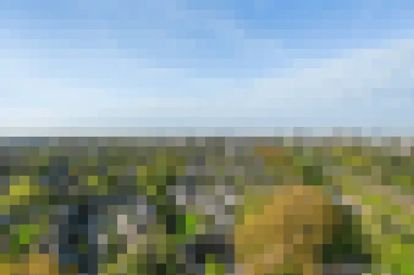 Populierendreef 309 Voorburg thumbnail 17