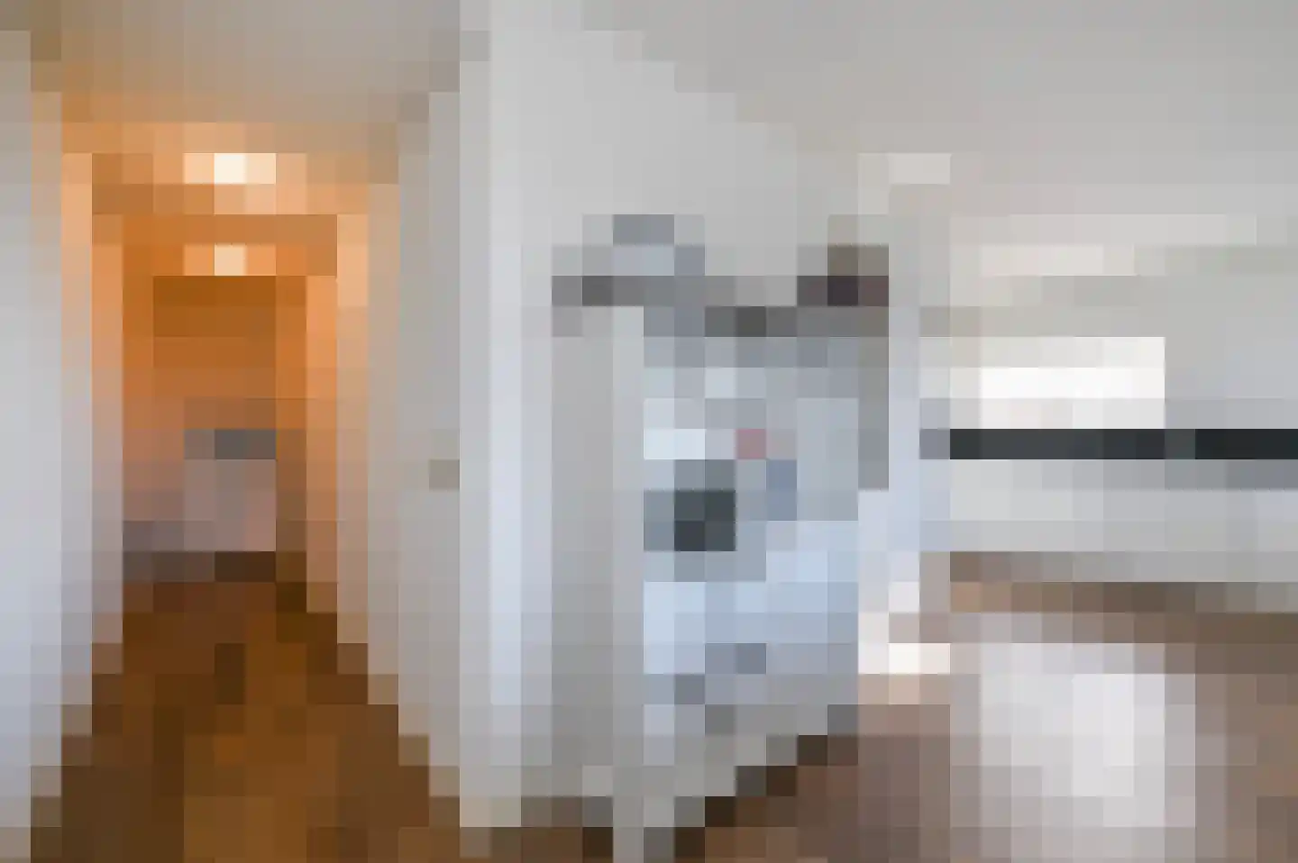 Populierendreef 309 Voorburg thumbnail 20