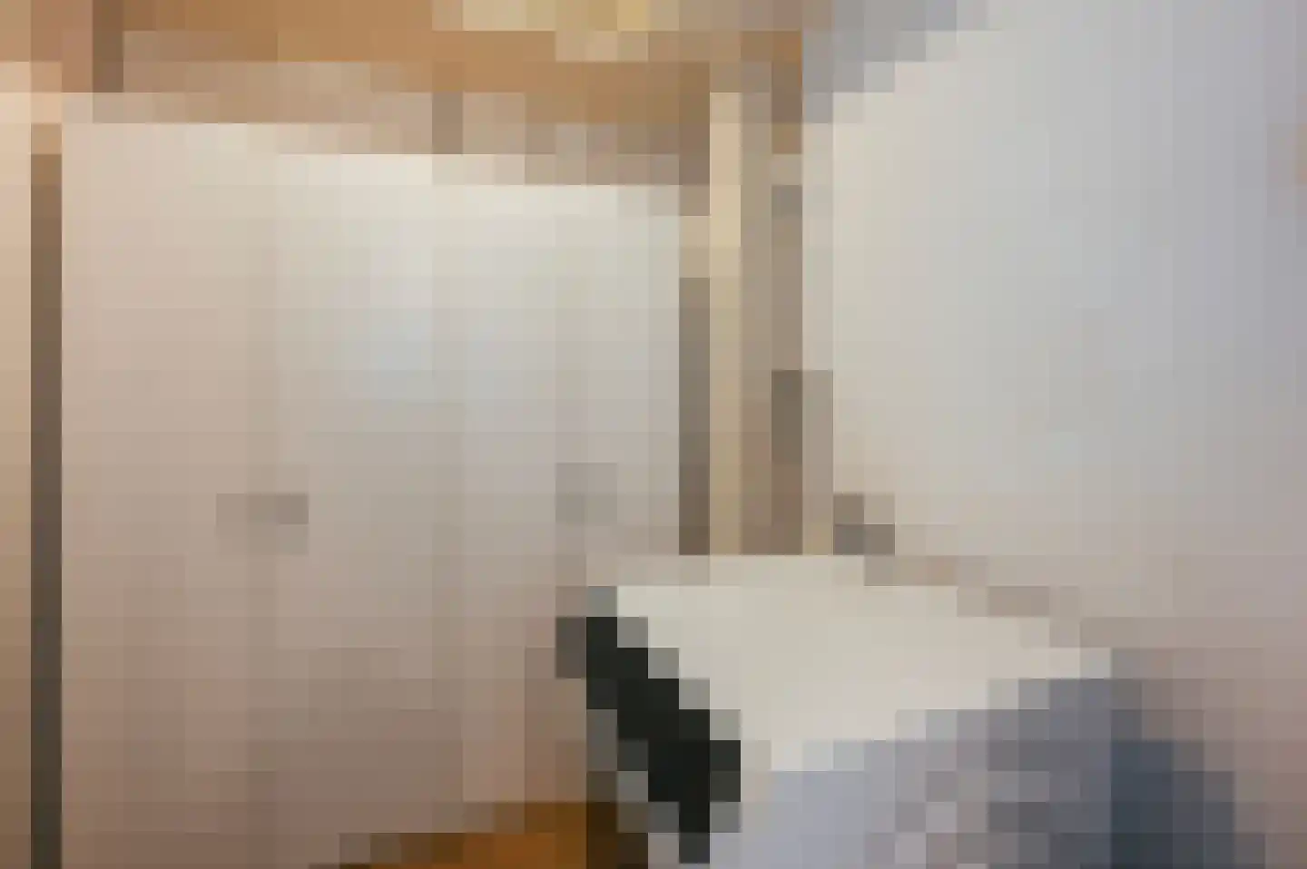 Populierendreef 309 Voorburg thumbnail 25
