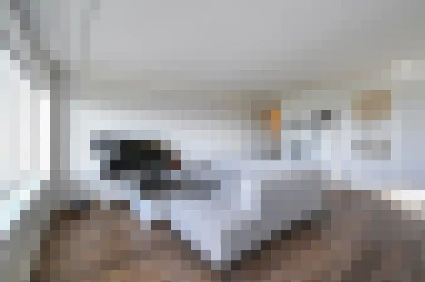 Populierendreef 309 Voorburg thumbnail 5