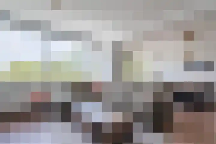 Populierendreef 330 Voorburg thumbnail 12