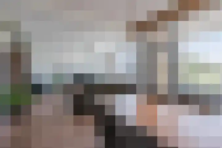 Populierendreef 330 Voorburg thumbnail 16