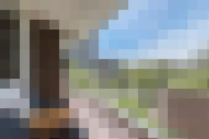 Populierendreef 330 Voorburg thumbnail 18