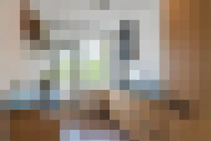 Populierendreef 330 Voorburg thumbnail 22