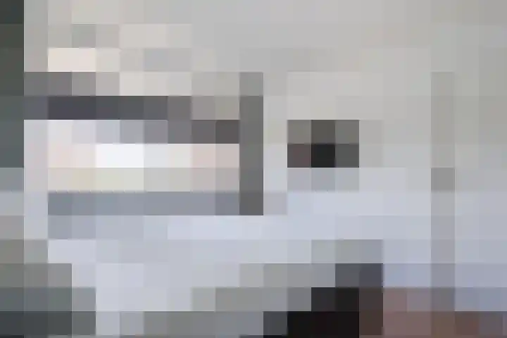 Populierendreef 330 Voorburg thumbnail 25