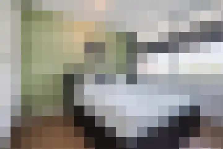 Populierendreef 330 Voorburg thumbnail 26