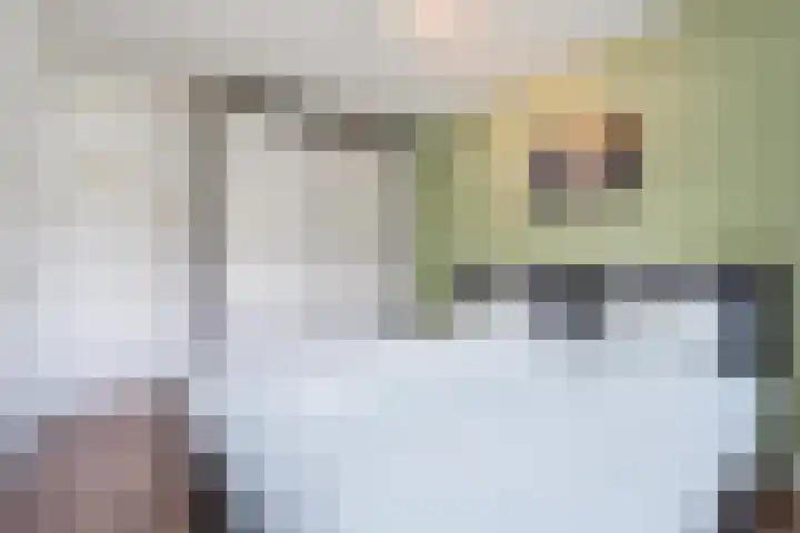 Populierendreef 330 Voorburg thumbnail 27