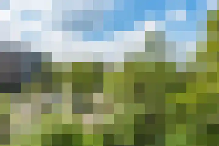 Populierendreef 330 Voorburg thumbnail 33