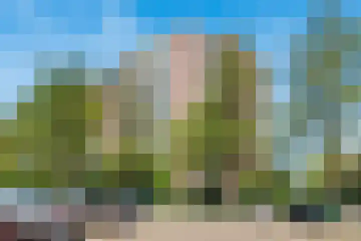 Populierendreef 330 Voorburg thumbnail 35