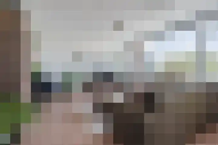Populierendreef 330 Voorburg thumbnail 8