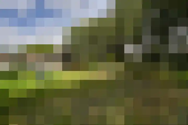 Populierendreef 45 Voorburg thumbnail 20